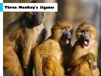 Three monkey's jigsaw