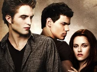 Twilight jigsaw puzzle collection