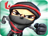 Ninja runs 3d