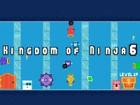 Kingdom of ninja 6