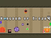 Kingdom of ninja 4