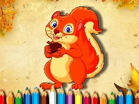 Squirrel coloring book