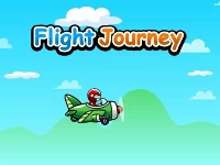 Flight journey