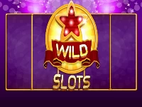 Wild slot