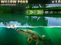 Willow pond fishing