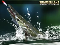 Summer lake 1.5