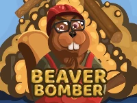 Beaver bomber