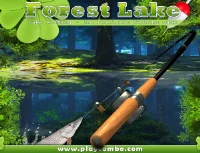 Forest lake