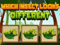 Which insect looks different