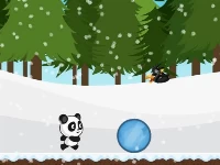 New panda run