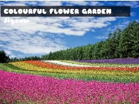 Colourful flower garden jigsaw