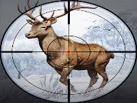 Deer hunting: 3d shooting game