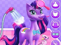 Magical unicorn grooming world