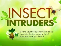 Insect intruders