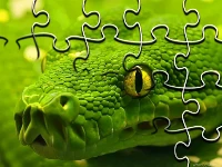 Snakes jigsaw puzzle
