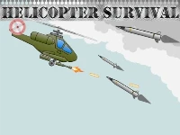 Helicopter survivor