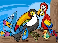 Exotic birds coloring