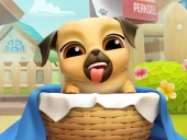 My cute puppy grooming 3d