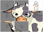 Puzzleopolis: iq puzzle