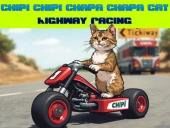 Chipi chipi chapa chapa cat highway racing