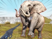 Zoo anomaly simulation