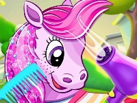 Pony pet salon