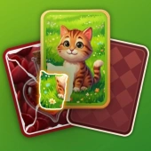 Puzzle solitaire picture match