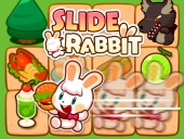 Slide rabbit