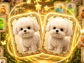 Animal pair card match