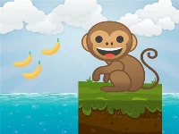 Runner monkey adventure